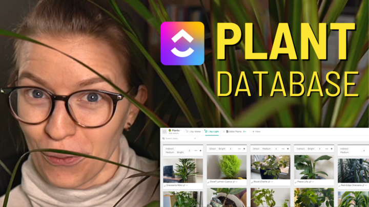 Create a Personalized Houseplant Database Using ClickUp