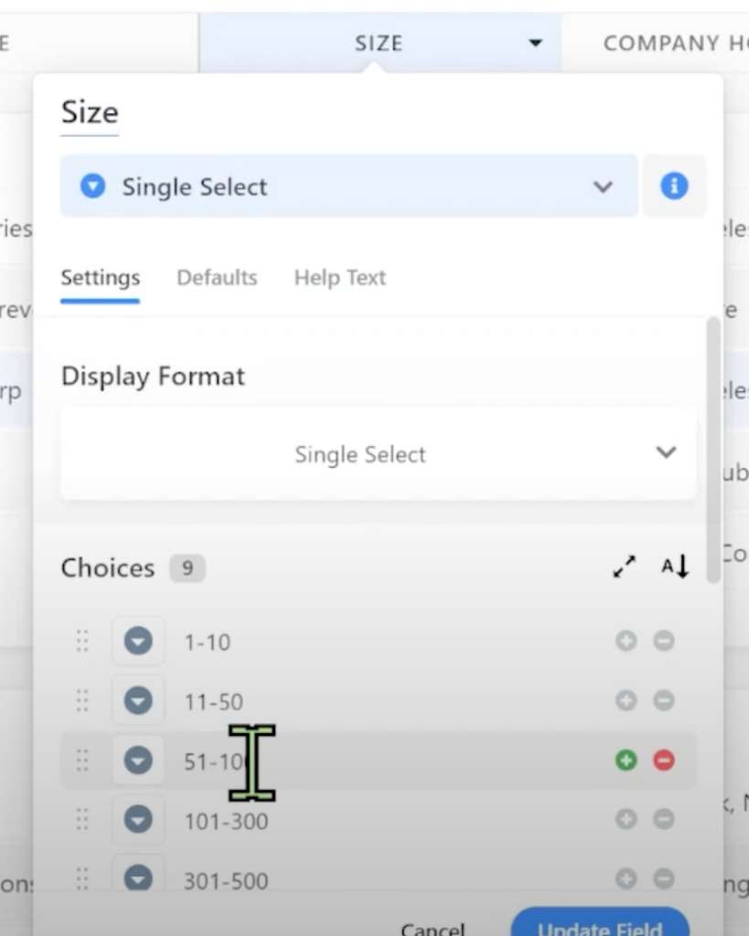 Choices and Display Format Options in SmartSuite 